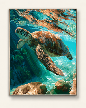 Tortue marine – Peinture par numéro